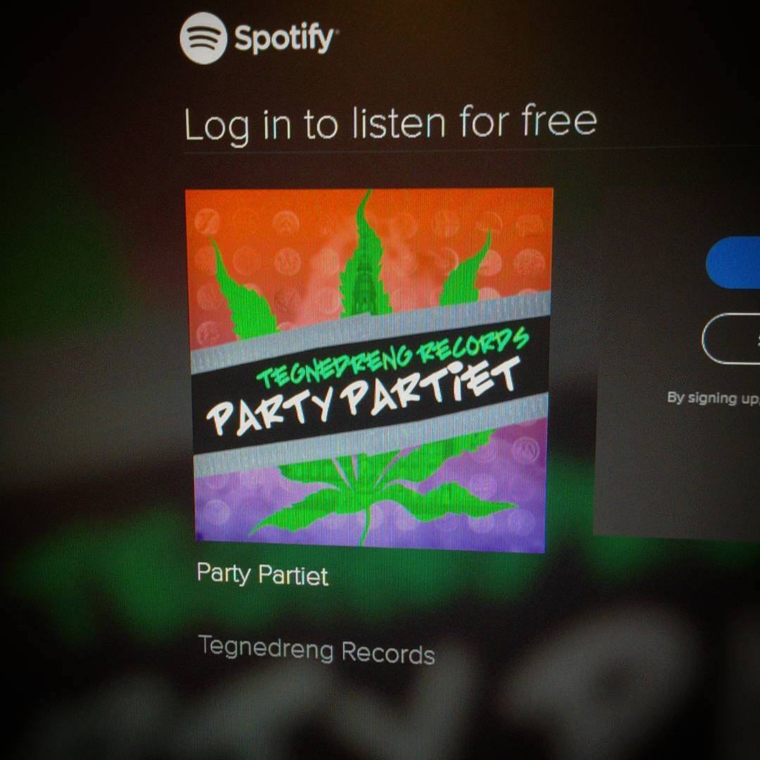 Billede fra Party Partiet